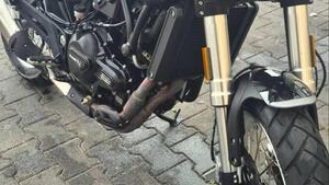 Benelli Leoncino 500 Trail (2021 - 26) 