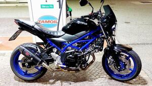 Suzuki SV 650 (2016 - 20) 