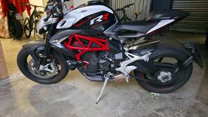 MV Agusta Brutale 800 RR (2017 - 20) 