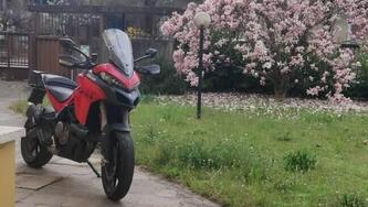 Ducati Multistrada V2 S (2022 - 24) usata