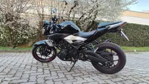Yamaha MT-03 (2016 - 17)  (2)