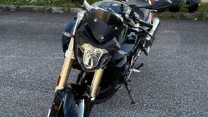 Bmw F 800 R (2017 - 20)  (7)
