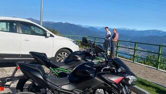 Kawasaki Z 650 (2021 - 24)