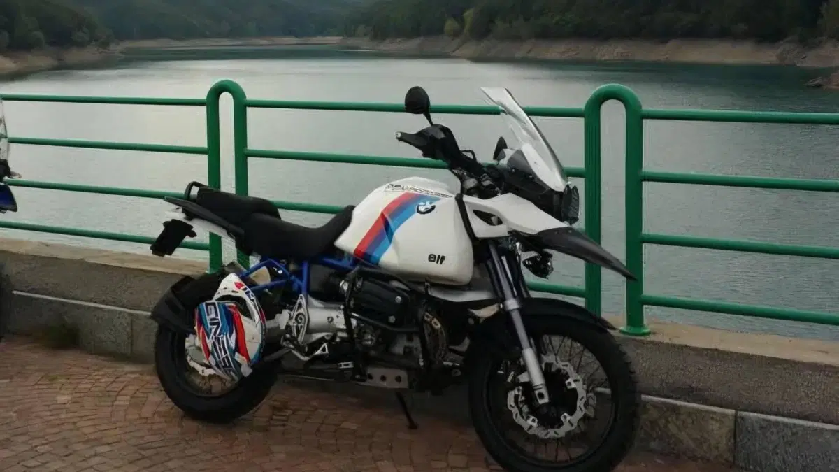 Bmw R 1150 GS (1999 - 03)  (4)