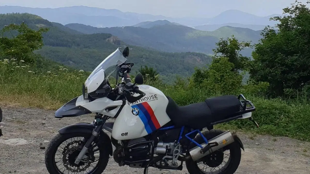 Bmw R 1150 GS (1999 - 03)  (8)