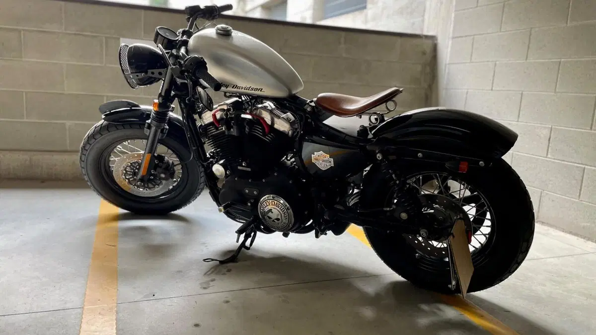 Harley-Davidson 1200 Forty-Eight (2010 - 15)  (2)