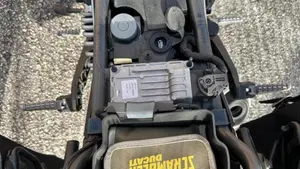 Ducati Scrambler 800 Classic (2017 - 18)  (9)