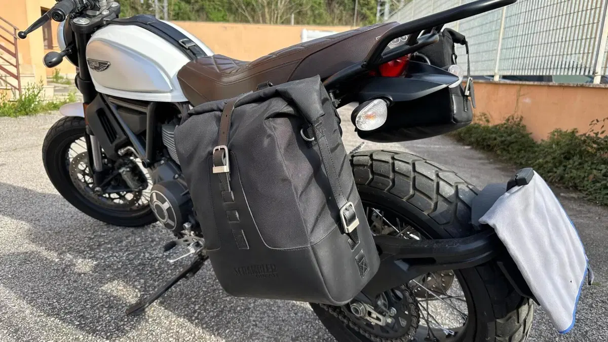 Ducati Scrambler 800 Classic (2017 - 18)  (20)