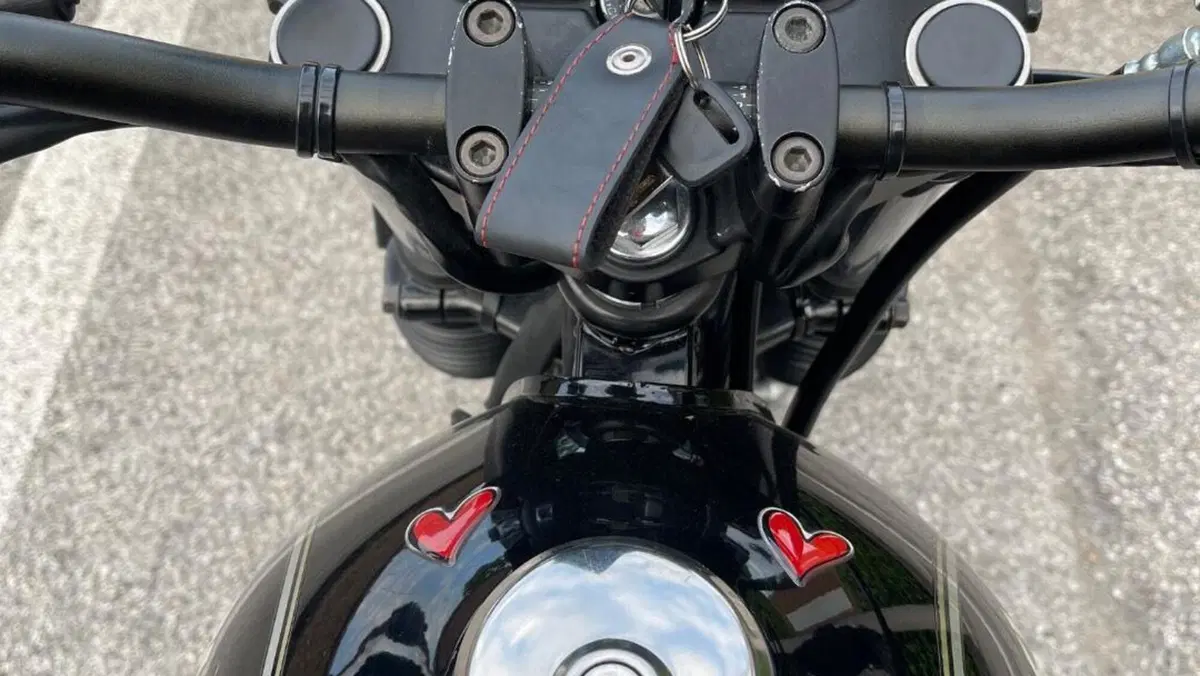 Suzuki   (2)
