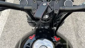 Suzuki   (2)