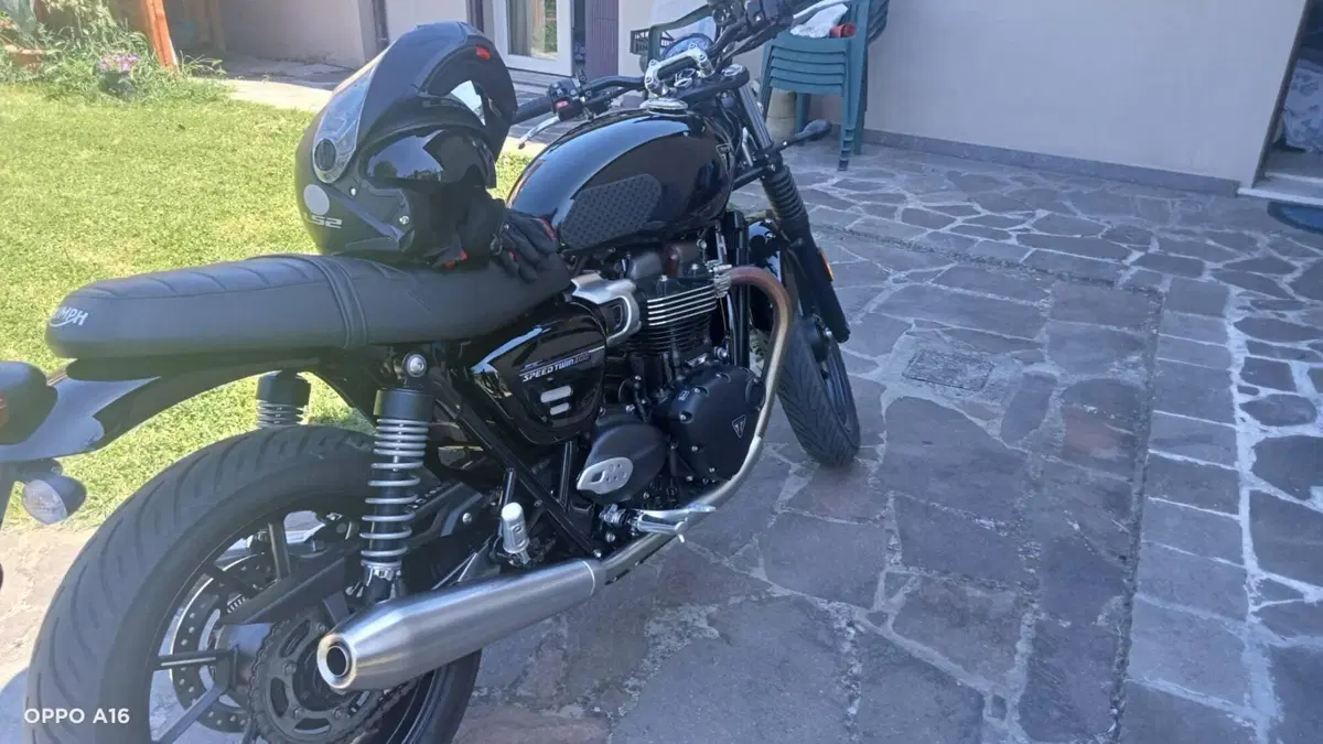 Triumph Speed Twin 900 Stealth Edition (2024)  (2)