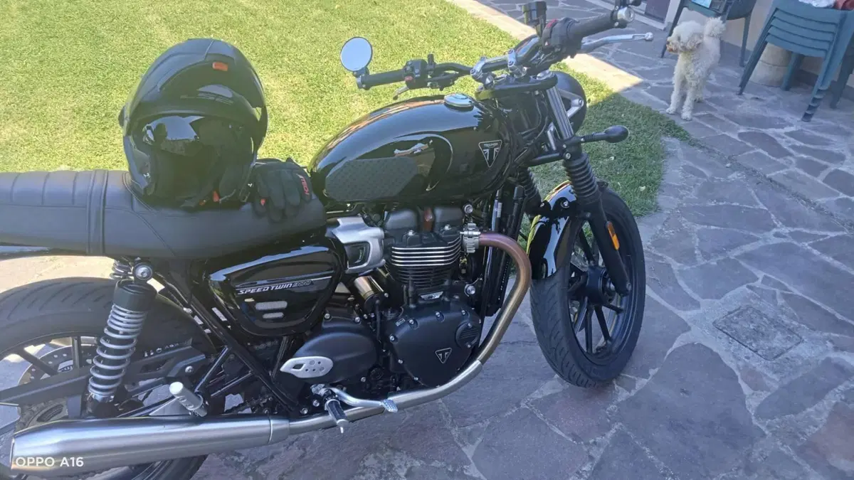 Triumph Speed Twin 900 Stealth Edition (2024)  (3)