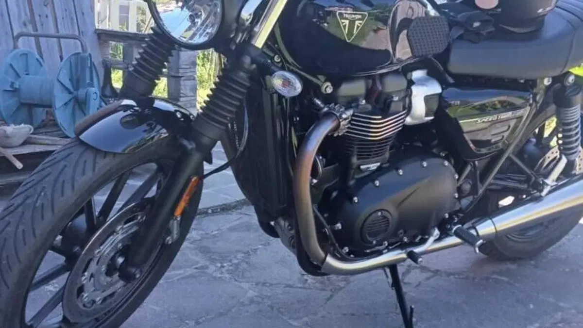 Triumph Speed Twin 900 Stealth Edition (2024)  (4)