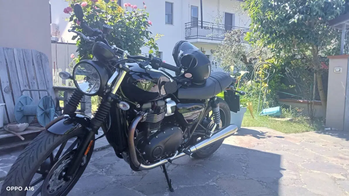 Triumph Speed Twin 900 Stealth Edition (2024)  (5)