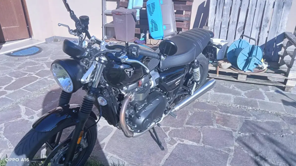 Triumph Speed Twin 900 Stealth Edition (2024)  (8)