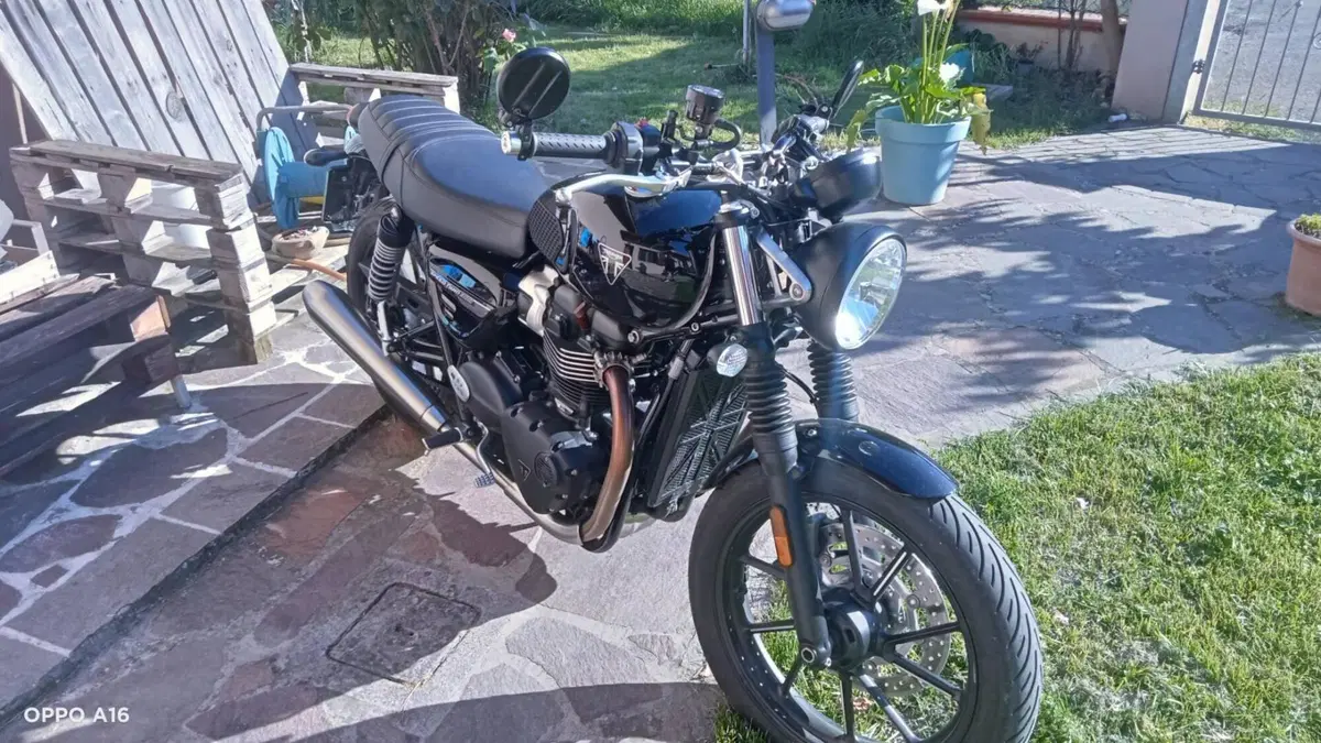 Triumph Speed Twin 900 Stealth Edition (2024)  (9)