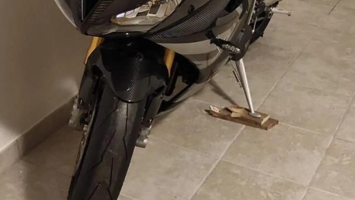 Triumph Daytona 765 Moto2 (2019 - 20)  (13)