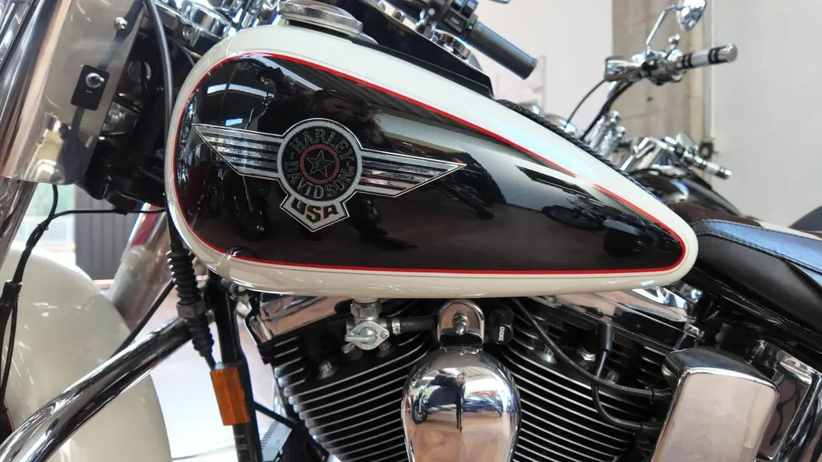 Harley-Davidson 1340 Heritage Special (1993 - 96)  (2)