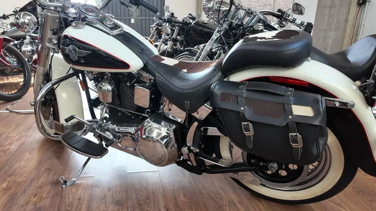 Harley-Davidson 1340 Heritage Special (1993 - 96)  (3)