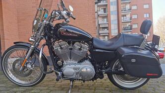 Harley-Davidson 883 Custom (2008 - 12) - XL 883C