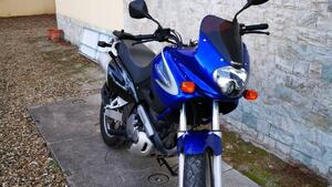 Suzuki XF 650 Freewind (1997 - 03) 