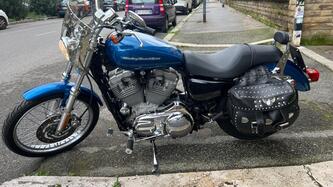Harley-Davidson 883 Custom (2001 - 05) - XL 53C