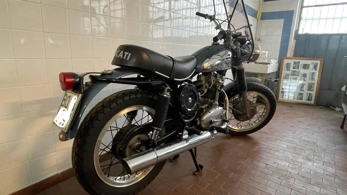 Ducati   (3)