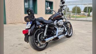 Harley-Davidson 883 Custom (2008 - 12) - XL 883C usata