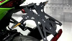 Kawasaki Ninja ZX-4RR (2024 - 26)  (5)