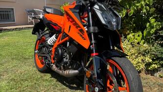 KTM 390 Duke (2024 - 25) usata