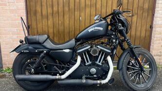 Harley-Davidson 883 Iron (2009 - 11) - XL 883N