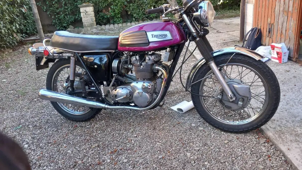 Triumph   (2)