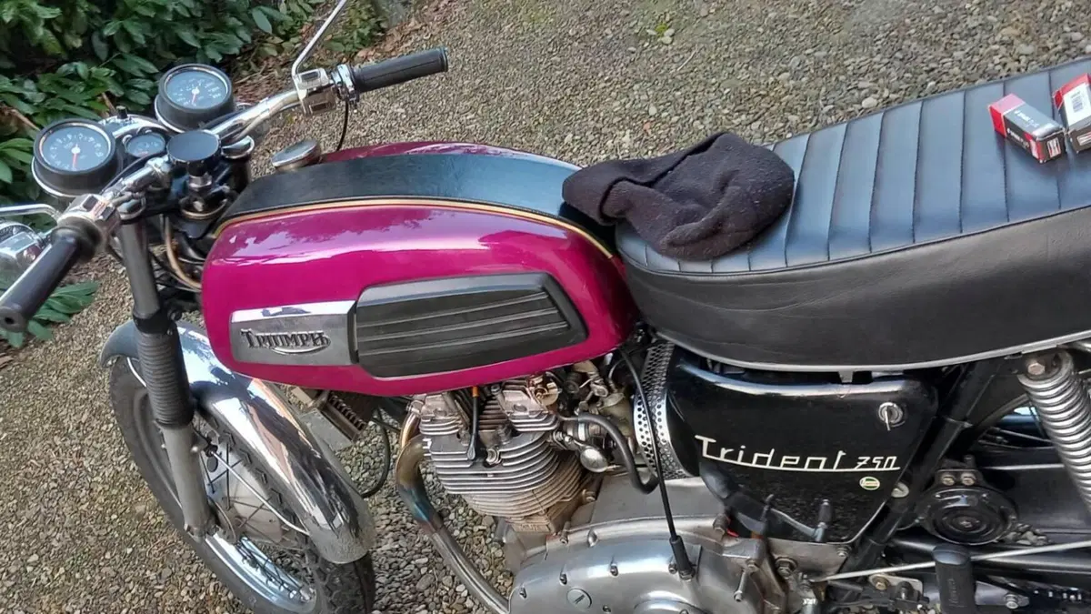 Triumph   (3)