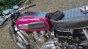 Triumph   (3)