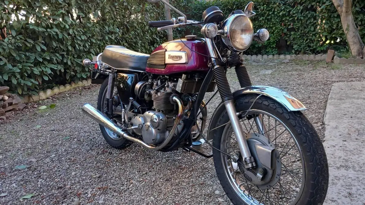 Triumph   (4)