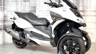 Quadro QV3 350 (2018 - 19) nuova