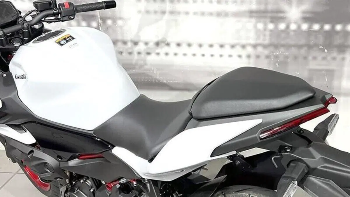 Kawasaki Z 500 SE (2024 - 26)  (4)