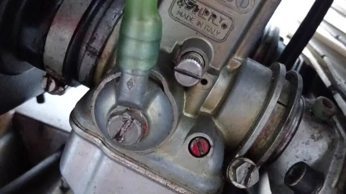 Benelli   (10)