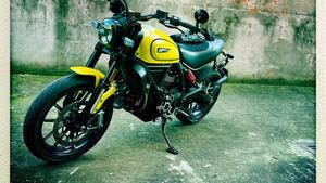 Ducati Scrambler 800 Icon (2021 - 22) 