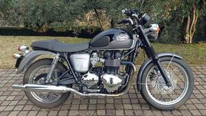 Triumph Bonneville T100 (2008 - 16) 