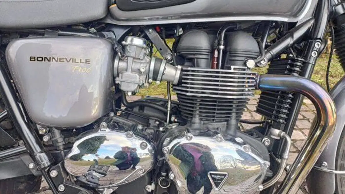 Triumph Bonneville T100 (2008 - 16)  (3)