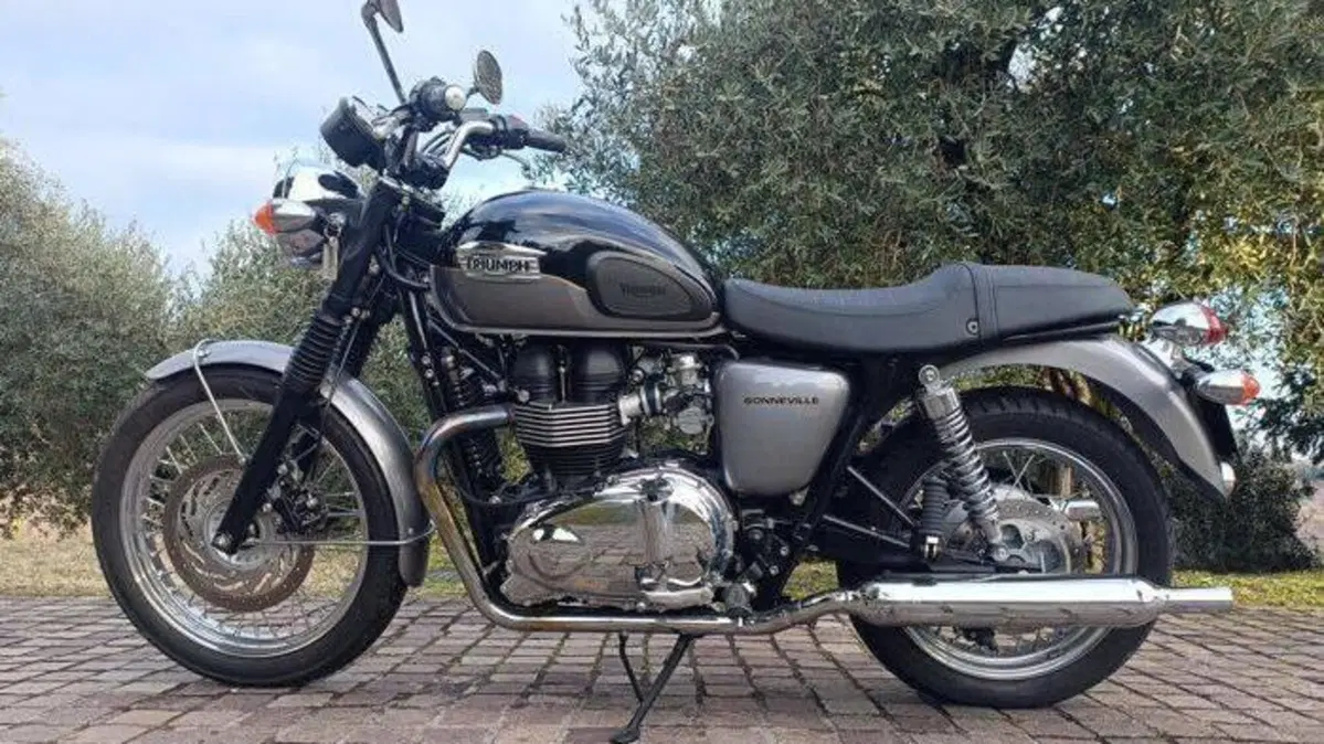 Triumph Bonneville T100 (2008 - 16)  (4)