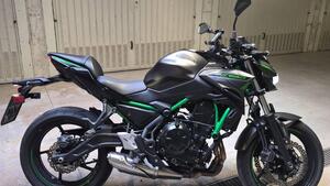 Kawasaki Z 650 (2021 - 24) 