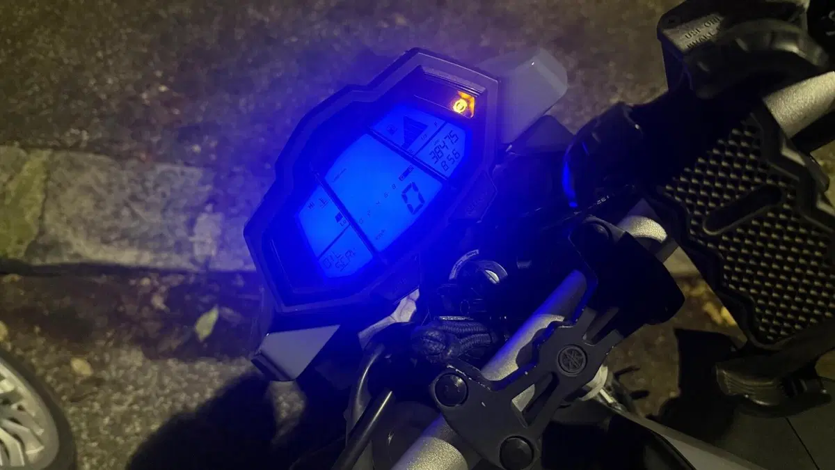 Yamaha MT-125 ABS (2017 - 19)  (8)
