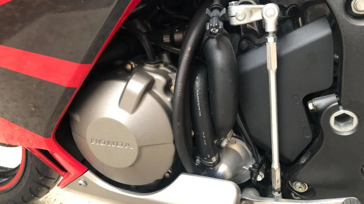 Honda CBR 600 RR (2003 - 04)  (7)