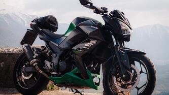 Kawasaki Z 300 ABS (2015 - 16) usata
