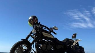 Harley-Davidson 1200 Roadster (2006 - 08) - XL 1200R usata