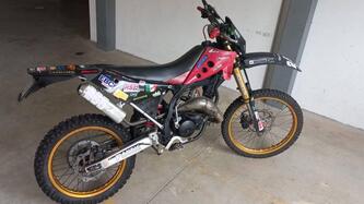 Fantic Motor Caballero 50 Regolarità Casa (2007 - 08)