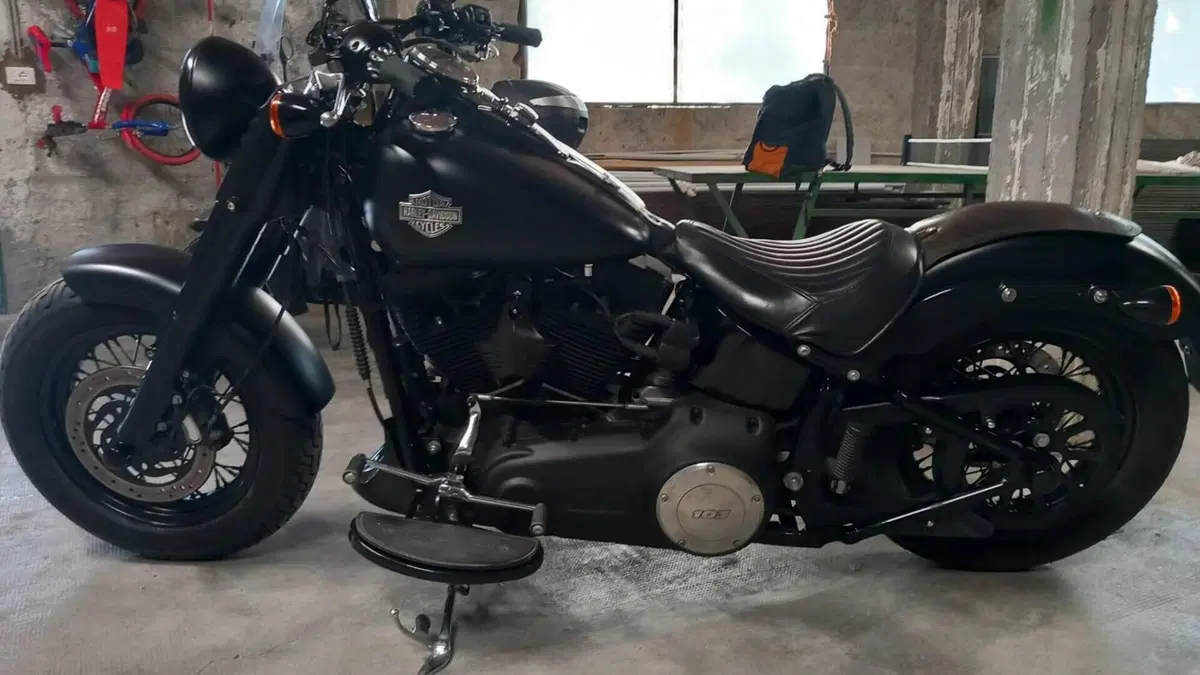 Harley-Davidson 1690 Slim (2011 - 16) - FLS 