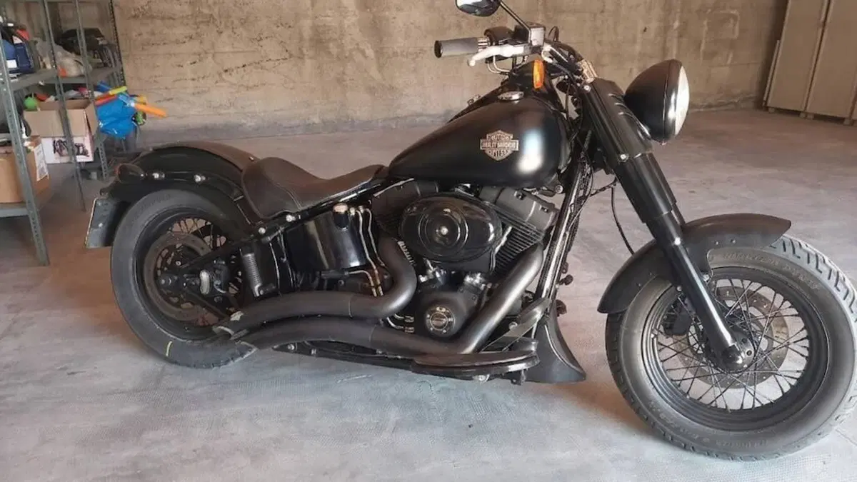 Harley-Davidson 1690 Slim (2011 - 16) - FLS  (2)